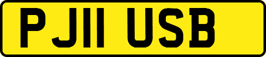 PJ11USB