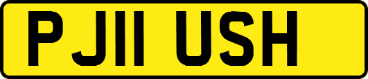 PJ11USH