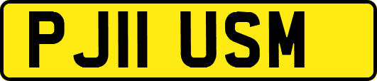 PJ11USM