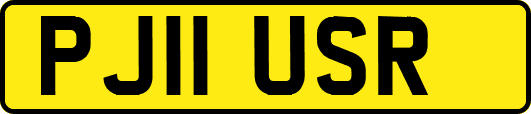 PJ11USR