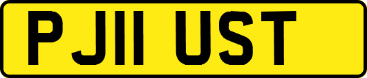 PJ11UST