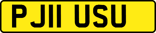 PJ11USU