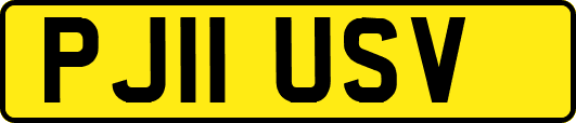 PJ11USV