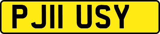 PJ11USY