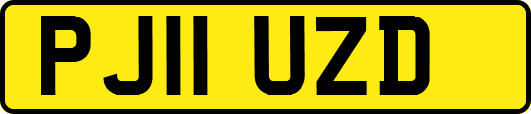 PJ11UZD