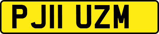 PJ11UZM