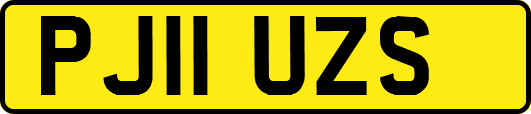 PJ11UZS