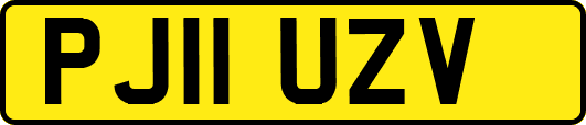 PJ11UZV