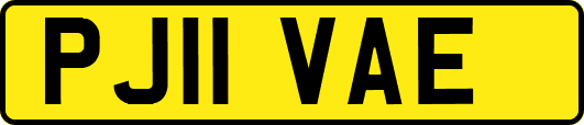PJ11VAE