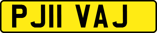 PJ11VAJ