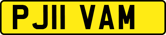 PJ11VAM