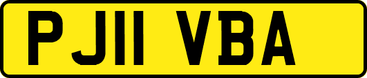 PJ11VBA