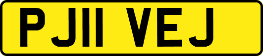 PJ11VEJ