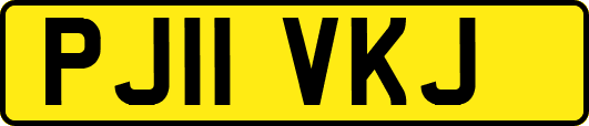 PJ11VKJ