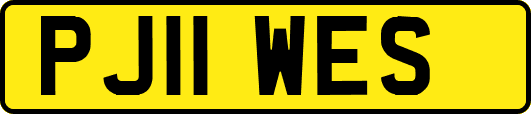 PJ11WES