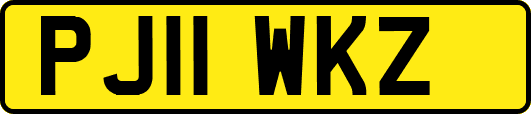 PJ11WKZ