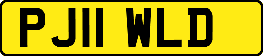 PJ11WLD