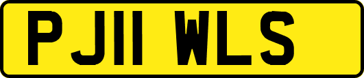 PJ11WLS