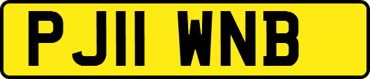 PJ11WNB