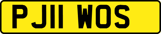 PJ11WOS