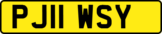 PJ11WSY