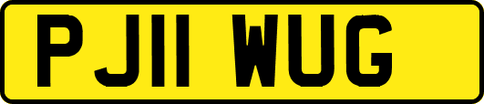 PJ11WUG