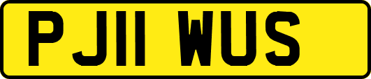 PJ11WUS