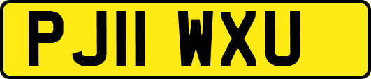 PJ11WXU