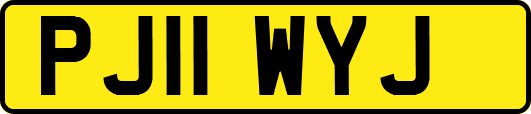 PJ11WYJ