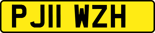 PJ11WZH