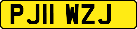 PJ11WZJ