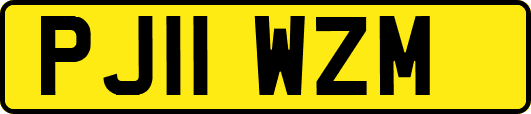 PJ11WZM