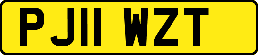 PJ11WZT