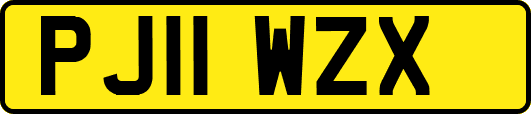 PJ11WZX