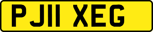 PJ11XEG