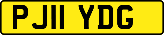 PJ11YDG
