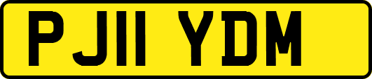 PJ11YDM