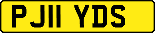 PJ11YDS