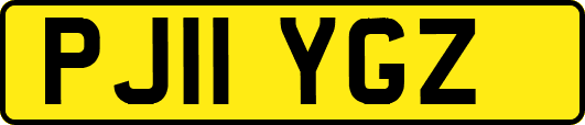 PJ11YGZ