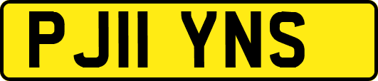 PJ11YNS