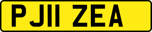 PJ11ZEA