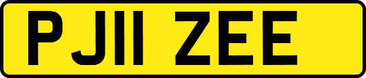 PJ11ZEE