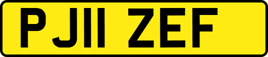 PJ11ZEF