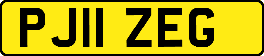 PJ11ZEG