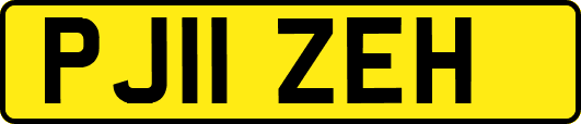 PJ11ZEH