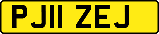 PJ11ZEJ