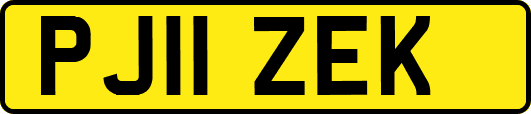 PJ11ZEK