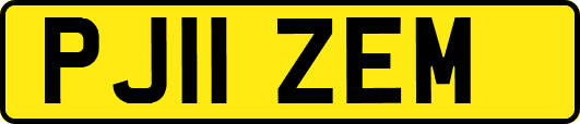 PJ11ZEM