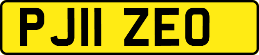 PJ11ZEO