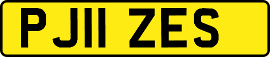 PJ11ZES